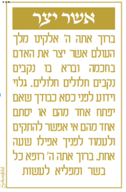 Acrylic Blessing Asher Yatzar Keychain Set of 6