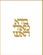 Round Havdalah Set Pearl And Gold