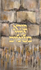 2 Piece Havdalah Set Kotel