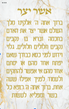 Acrylic Blessing Asher Yatzar Keychain White And Gold Marble Set of 6